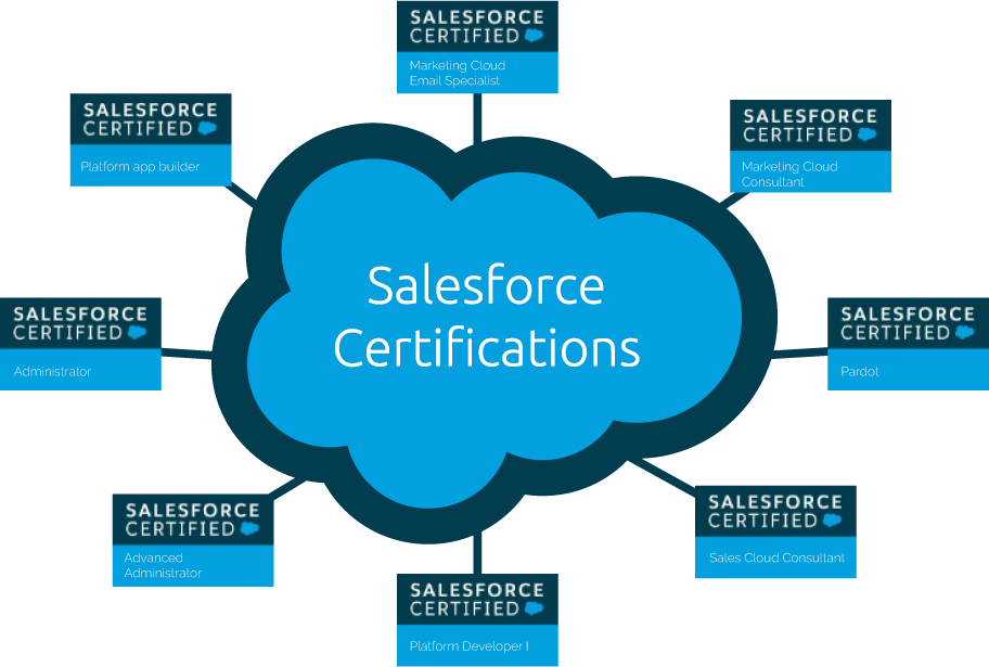Salesforce Certification Guide Fidizzi