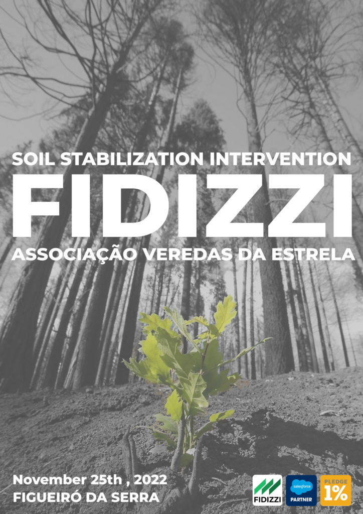 Soil Stabilization Intervention Fidizzi
