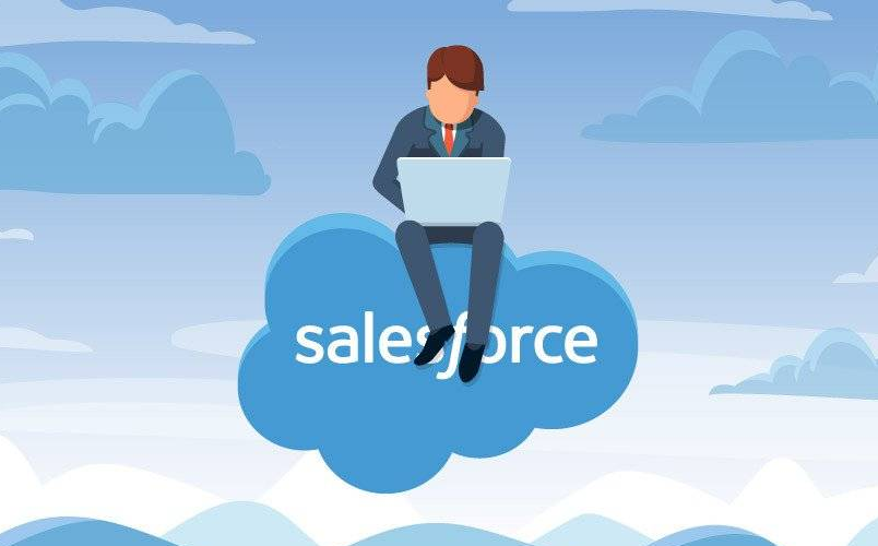 The Complete Guide to Salesforce Professional Edition
