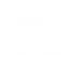 cropped-Fidizzi-White-1.png